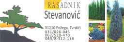 Rasadnik Stevanović ▲ 031/ 31 00 809 ▲ Požega